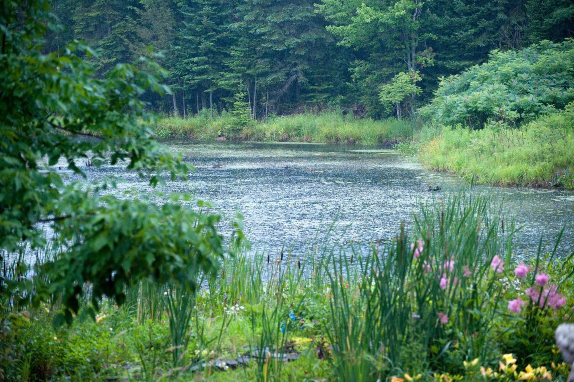 Shambhala Bed And Breakfast Buckhorn 외부 사진