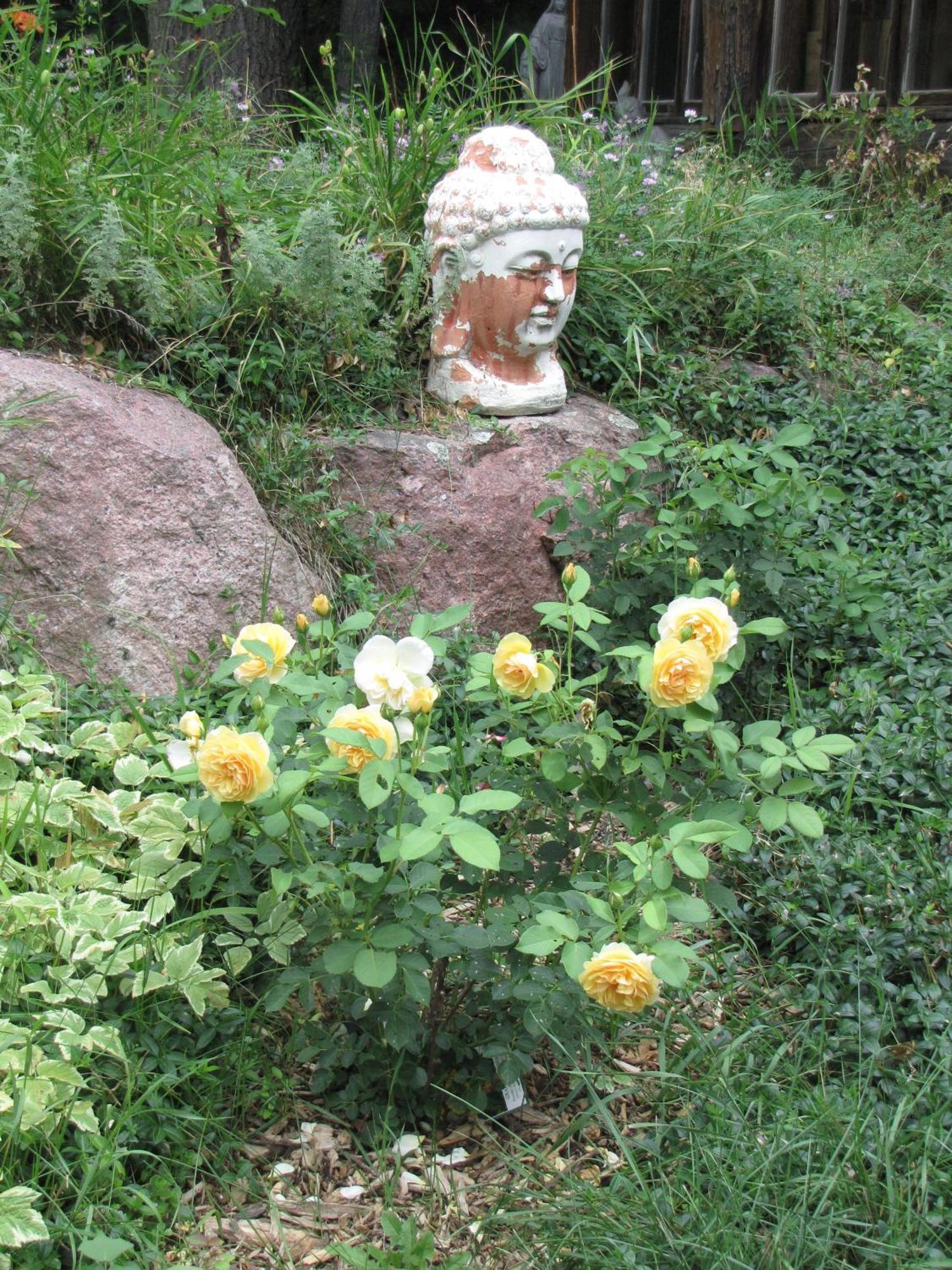 Shambhala Bed And Breakfast Buckhorn 외부 사진