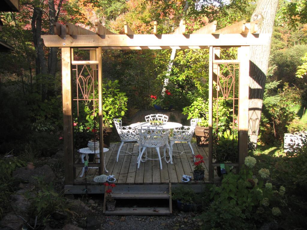 Shambhala Bed And Breakfast Buckhorn 외부 사진